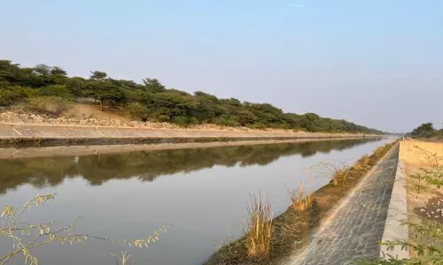 Bikaner: किसानों की बढ़ी परेशानी इंदिरा गांधी नहर से सिंचाई के लिए नहीं मिलेगा पानी