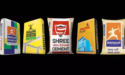 Shree Cement Q3 परिणाम: लाभ में 72.45% की गिरावट, राजस्व?