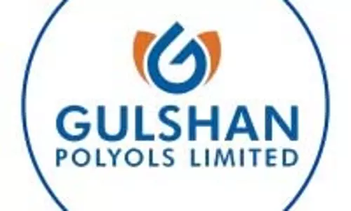 Gulshan Polyols Q3 परिणाम: लाभ में 45.79% की वार्षिक वृद्धि, राजस्व?