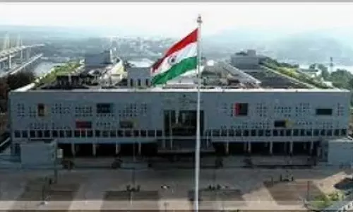 उच्च न्यायालय की रिपोर्ट में Porvorim में वृक्ष स्थानांतरण के कुप्रबंधन की आलोचना की उच्च न्यायालय की रिपोर्ट में Porvorim में वृक्ष स्थानांतरण के कुप्रबंधन की आलोचना की