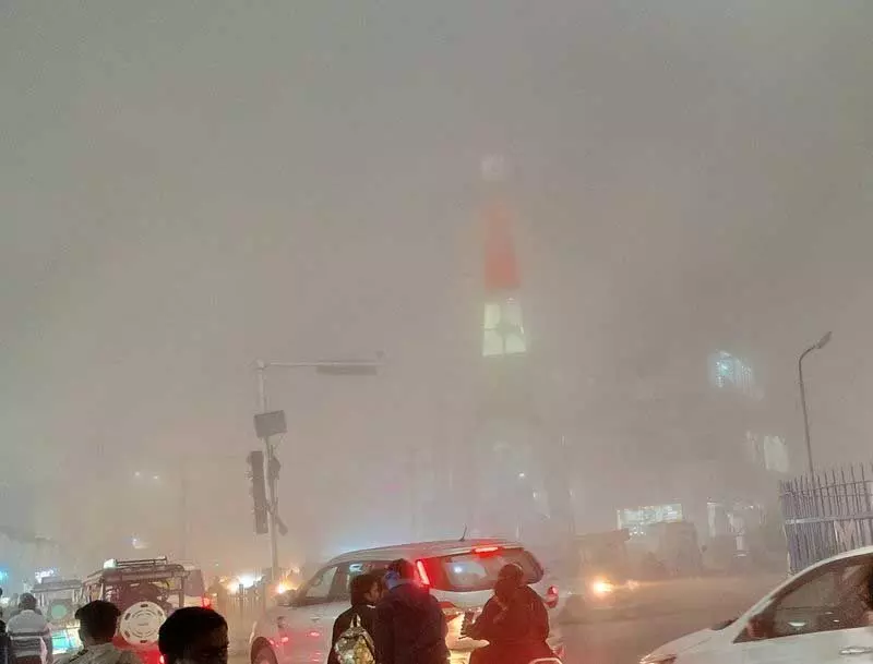 Haryana : घने कोहरे से गेहूं उत्पादक चिंतित Haryana : घने कोहरे से गेहूं उत्पादक चिंतित