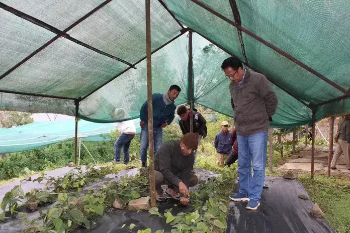 राजनीतिक विचारों को लाभार्थी चयन को प्रभावित नहीं करना चाहिए: वांगसू