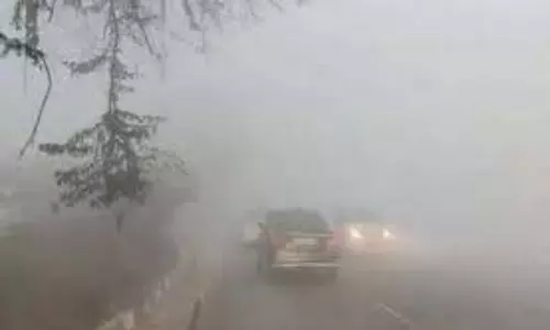 Punjab:  कोहरे की सफेद चादर में लिपटा शहर, मौसम विभाग ने जारी किया अलर्ट