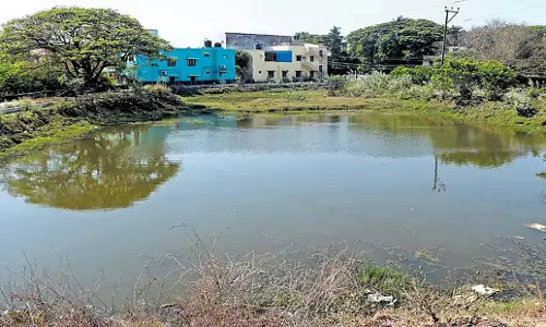 Tamil Nadu: जल प्रबंधन परियोजनाओं में तेजी लाएं धर्मपुरी के किसान
