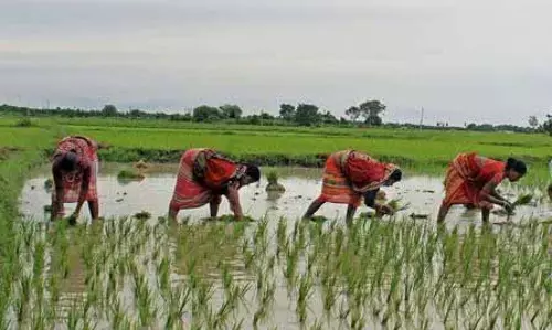 किसान क्रेडिट कार्ड की संख्या 7.5 करोड़ तक, ऋण वितरण 9.81 लाख करोड़ रुपये पर पहुंचा