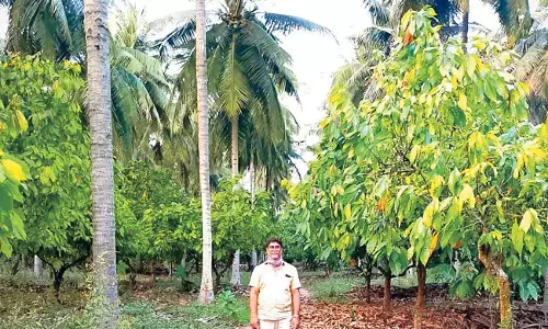 Telangana: चावल की खेती और अनाज उत्पादन में देश में पहले स्थान पर