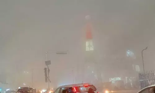 Haryana : घने कोहरे से गेहूं उत्पादक चिंतित Haryana : घने कोहरे से गेहूं उत्पादक चिंतित