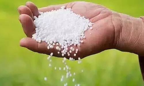 Assam के नामरूप में नया यूरिया संयंत्र किसानों के लिए Assam के नामरूप में नया यूरिया संयंत्र किसानों के लिए