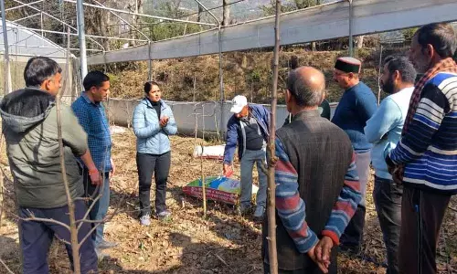 Himachal: दो दिवसीय कार्यशाला में किसानों को मिली जानकारी