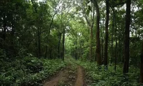 Assam तीन प्रस्तावित आरक्षित वनों को गैर अधिसूचित करेगा