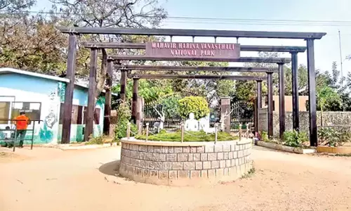 Telangana: वनस्थलीपुरम में वनस्थली पार्क की जमीन बेचने के आरोप में आरोपी गिरफ्तार Telangana: वनस्थलीपुरम में वनस्थली पार्क की जमीन बेचने के आरोप में आरोपी गिरफ्तार