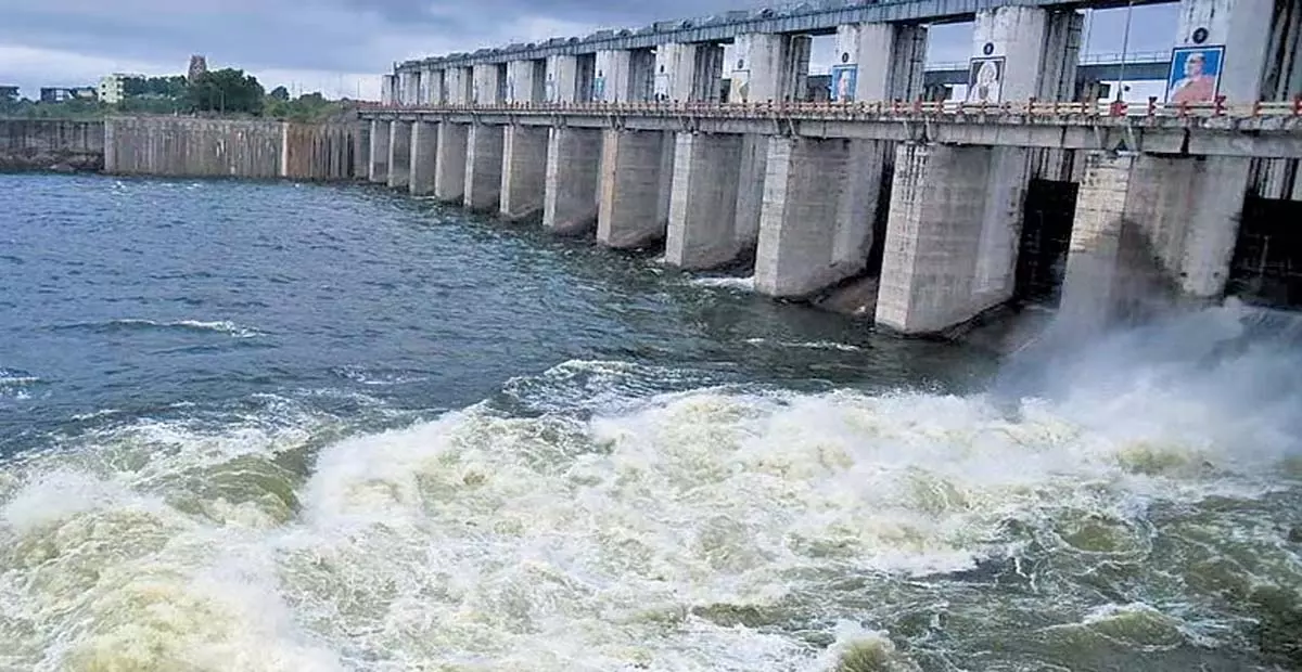 Andhra: मीनोत्सव के अवसर पर गुंडलकम्मा जलाशय में मछलियाँ छोड़ी गईं Andhra: मीनोत्सव के अवसर पर गुंडलकम्मा जलाशय में मछलियाँ छोड़ी गईं