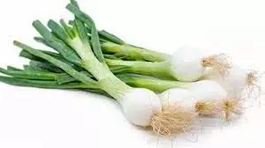 Spring Onion Benefits: जानिए सर्दियों में हरा प्याज खाने के अद्भुत फायदे