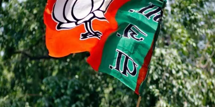 दिल्ली चुनाव से पहले आप के आठ निवर्तमान विधायक भाजपा में शामिल दिल्ली चुनाव से पहले आप के आठ निवर्तमान विधायक भाजपा में शामिल