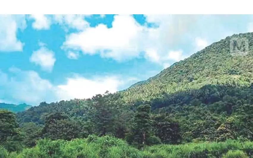 Kerala के स्वास्थ्य सेवा क्षेत्र को झटका, कोझिकोड के लिए Kerala के स्वास्थ्य सेवा क्षेत्र को झटका, कोझिकोड के लिए