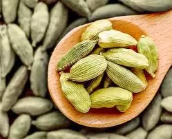 Health: दिन में सिर्फ 2 इलायची चबाने से मिलेंगे ये कमाल के स्वास्थ्य लाभ, जानें सेवन का सही समय Health: दिन में सिर्फ 2 इलायची चबाने से मिलेंगे ये कमाल के स्वास्थ्य लाभ, जानें सेवन का सही समय