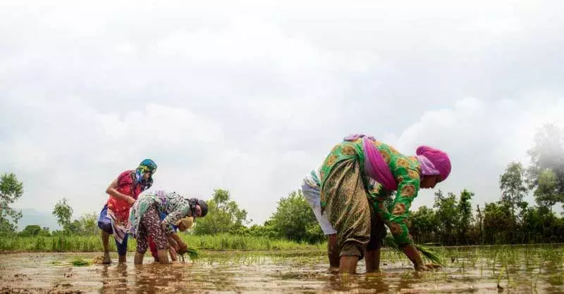 Haryana : विशेषज्ञ सकारात्मक पहलुओं की ओर इशारा कर रहे Haryana : विशेषज्ञ सकारात्मक पहलुओं की ओर इशारा कर रहे