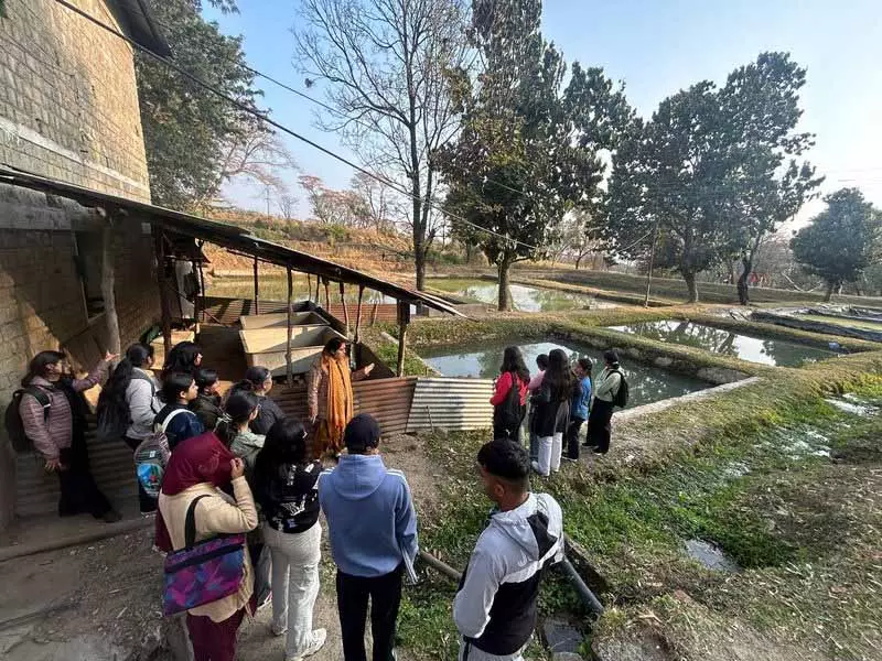 Himachal: सजावटी मछली पालन आजीविका का एक अच्छा अवसर Himachal: सजावटी मछली पालन आजीविका का एक अच्छा अवसर