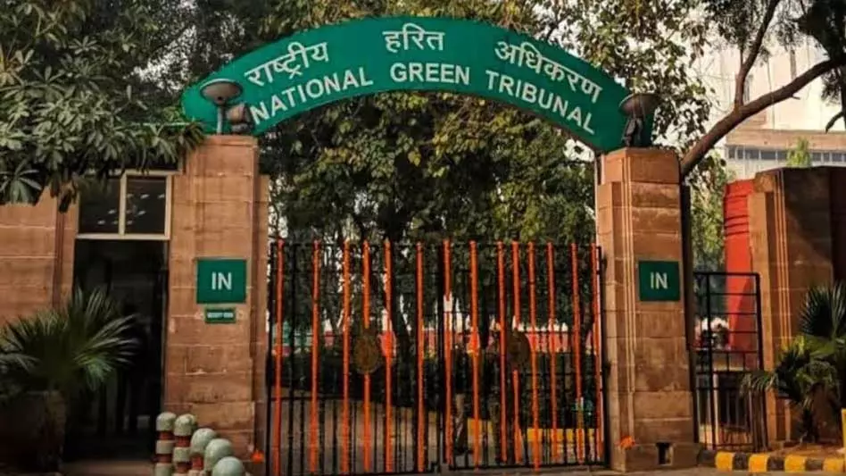 Assam : NGT ने असम और अन्य राज्यों में मच्छर नियंत्रण के लिए Assam : NGT ने असम और अन्य राज्यों में मच्छर नियंत्रण के लिए