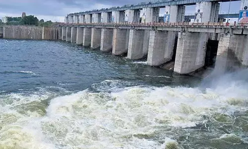 Andhra: मीनोत्सव के अवसर पर गुंडलकम्मा जलाशय में मछलियाँ छोड़ी गईं