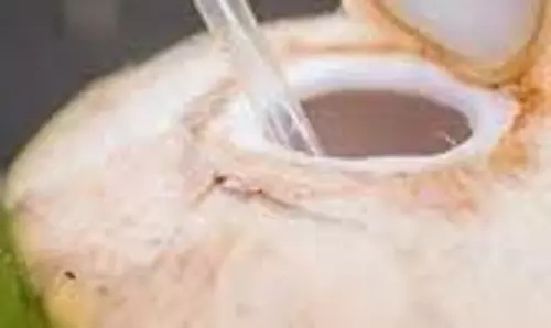 Health: किस समय नारियल पानी पीना है ज्यादा फायदेमंद, सेहत के लिए साबित हो सकता है वरदान