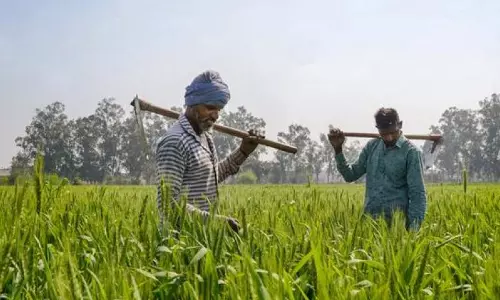Haryana: मुख्यमंत्री ने किसानों को सशक्त बनाने वाले बजट की सराहना की