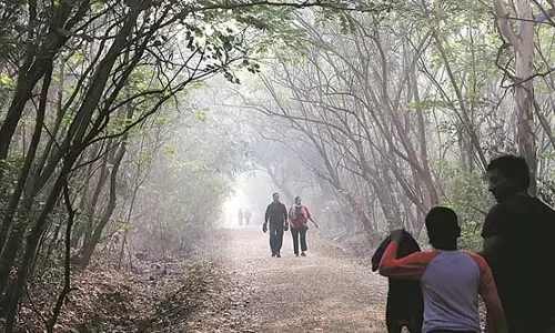 पुणे मौसम पूर्वानुमान और AQI: गर्म शुरुआत, पूरा मौसम पूर्वानुमान जानें पुणे मौसम पूर्वानुमान और AQI: गर्म शुरुआत, पूरा मौसम पूर्वानुमान जानें