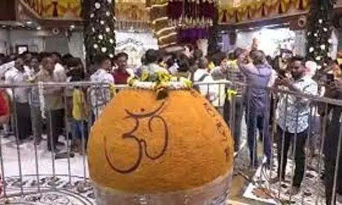 Maharashtra:   गणेश जयंती पर गजानन को प्रसाद में मिला 1101 किलो का लड्डू