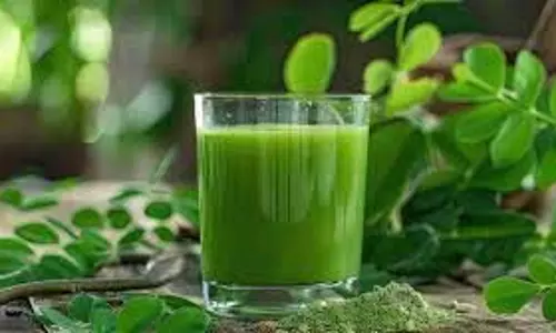 Health: रोज सुबह इन पत्तों को उबालकर पिएं इनका पानी, ब्लड शुगर कंट्रोल करने और वजन घटाने में मिलेगी मदद Health: रोज सुबह इन पत्तों को उबालकर पिएं इनका पानी, ब्लड शुगर कंट्रोल करने और वजन घटाने में मिलेगी मदद