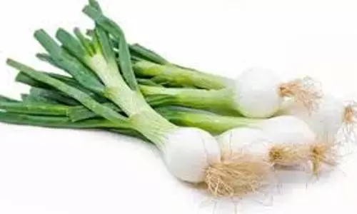 Spring Onion Benefits: जानिए सर्दियों में हरा प्याज खाने के अद्भुत फायदे