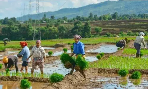 Andhra: कृषि के लिए बजट प्रस्तावों से किसान खुश नहीं