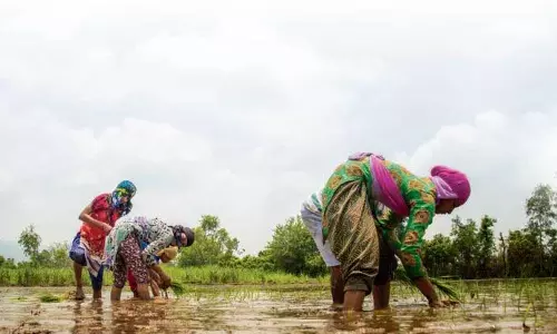Haryana : विशेषज्ञ सकारात्मक पहलुओं की ओर इशारा कर रहे