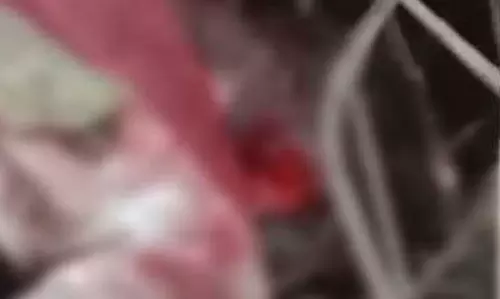 आराम कर रहे बुजुर्ग पर तेंदुए ने किया हमला, मौत