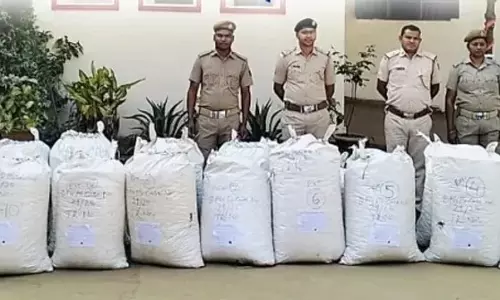Odisha: जंगल में 10 क्विंटल से अधिक गांजा जब्त