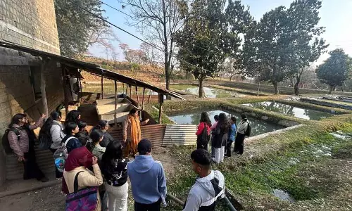 Himachal: सजावटी मछली पालन आजीविका का एक अच्छा अवसर