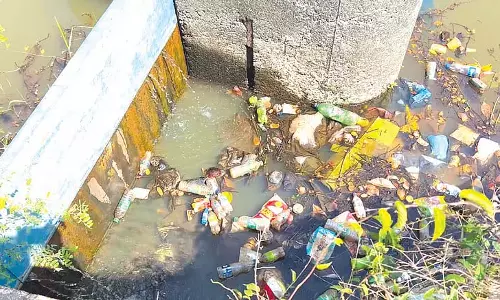 सालपेम झील-साल नदी में सीवेज का रिसाव: निगम, MMC ने आखिरकार हलफनामा दाखिल किया
