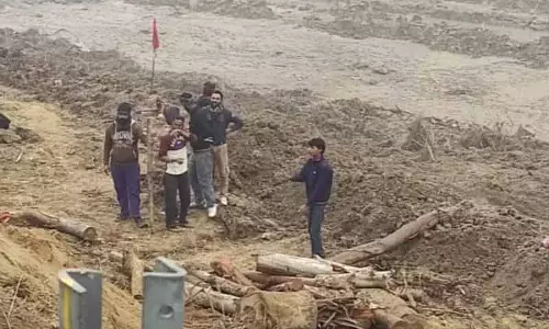 पेड़ों की कटाई पर सरकार और विभागों को NGT का नोटिस