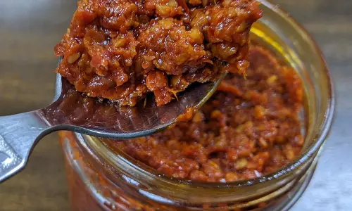 घर का बना शेज़वान सॉस रेसिपी घर का बना शेज़वान सॉस रेसिपी