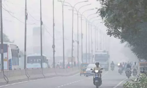 Tamil Nadu के तटीय जिलों में सुबह कोहरा छाया रहेगा: मौसम विभाग