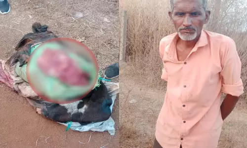 रायपुर में फिर पकड़ाया गौमांस, ग्रामीणों में आक्रोश