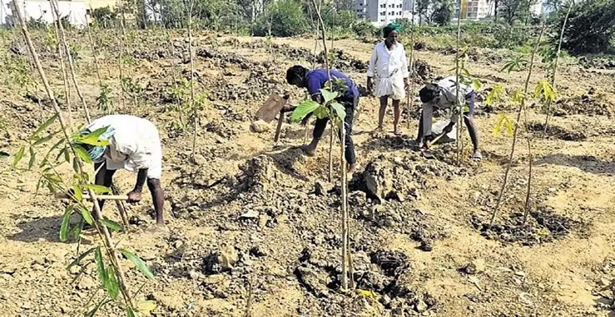 Karnataka: वरथुर झील जैव विविधता पार्क का विरोध