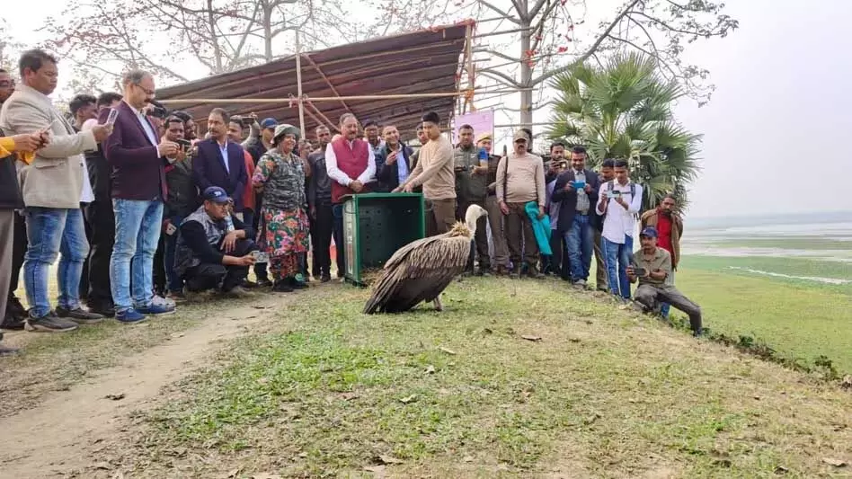 Assam :  प्रजातियों के साथ अब तक की सबसे अधिक प्रवासी पक्षी संख्या दर्ज की गई