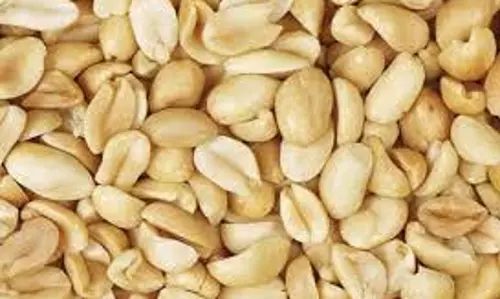 Peanuts Recipe: मूंगफली से बनाएं ये स्वादिष्ट चीजें, घर पर बनाना है आसान Peanuts Recipe: मूंगफली से बनाएं ये स्वादिष्ट चीजें, घर पर बनाना है आसान