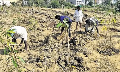 Karnataka: वरथुर झील जैव विविधता पार्क का विरोध Karnataka: वरथुर झील जैव विविधता पार्क का विरोध