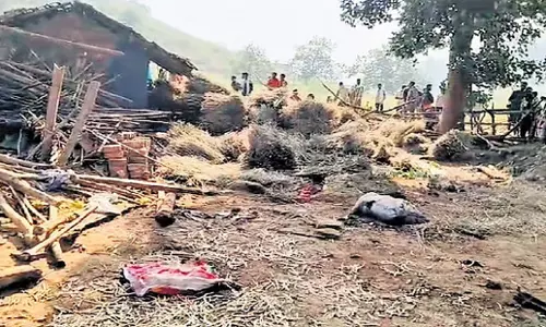 Odisha: कालाहांडी में हाथियों के झुंड ने सोते हुए बुजुर्ग दंपत्ति को मार डाला