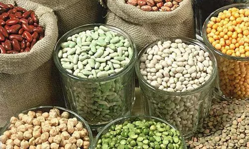 Tamil Nadu: तिरुचिरापल्ली दाल उत्पादन लक्ष्य हासिल करने की दिशा में अग्रसर Tamil Nadu: तिरुचिरापल्ली दाल उत्पादन लक्ष्य हासिल करने की दिशा में अग्रसर