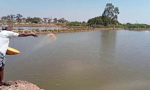 Odisha: इंसेक्टिका बायोटेक ने नया मछली आहार लॉन्च किया