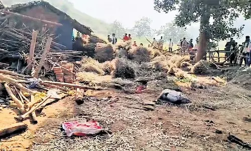 Kalahandi में हाथियों के झुंड ने सोते हुए बुजुर्ग दंपत्ति को मार डाला