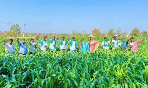 किसानों ने Raithu Bharosa बढ़ाने की मांग करते हुए राहुल गांधी को सेल्फी वीडियो भेजे किसानों ने Raithu Bharosa बढ़ाने की मांग करते हुए राहुल गांधी को सेल्फी वीडियो भेजे