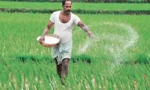 Jaipur: पीपल्दा में फसल खराबे से प्रभावित काश्तकारों को शीघ्र ही आदान अनुदान भुगतान किया जाएगा